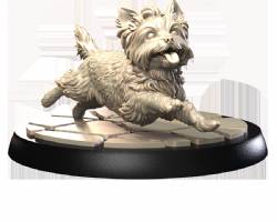 Yorkshire Terrier set (3)